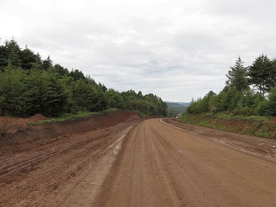 Rainy Season Slip and Slide!