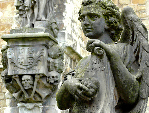 the prophecy / skulls & bones.