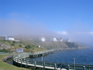 Oldest Colony Trust Boardwalk, Burin