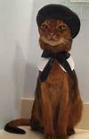 cat beanie