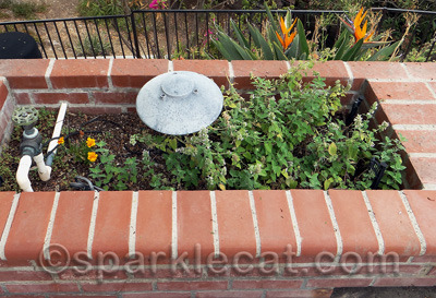 I can smell it all the way across the patio!