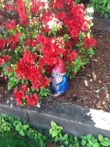 Zombie Gnome Loves Flowers