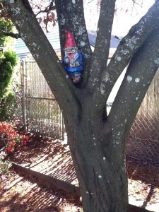 Single Zombie Gnome Seeking BRAAAINS