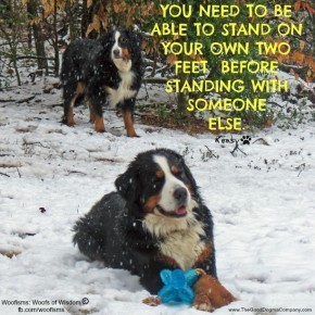 standIMG 7444 edited 1 290x290 Woofisms: Woofs of Wisdom© funny dog blog