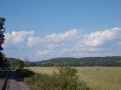 haylage