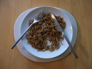 Lunch anyone? Mealworm beetle larvae can make a nutritious addition to any diet