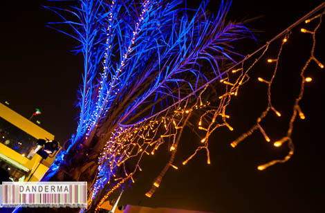 vip3p2b-017-1