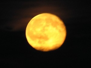 Full Moon in the UP