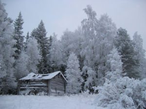 Photo Courtesy of Free Digital Photo