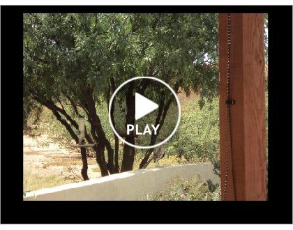 Click to play this Smilebox slideshow