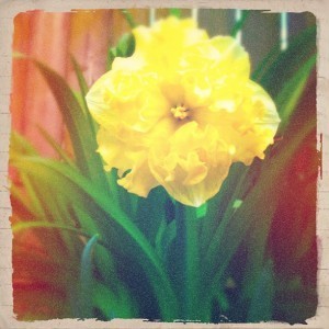 521351_10151379359813668_1685458474_n