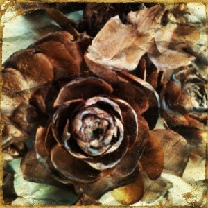 524992_10151371433533668_554200731_n