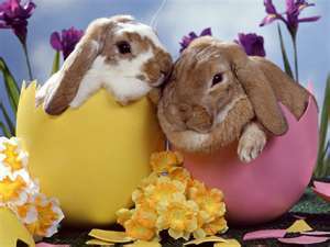 Happy Easter from Paranormal Romance Author Danica Winters