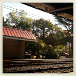 20121017-090810.jpg