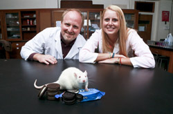 NEW LONDON, CT Connecticut College - Rat and Oreos.