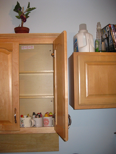 4241326971 595496957a A New Door Added To The Obama Cabinet