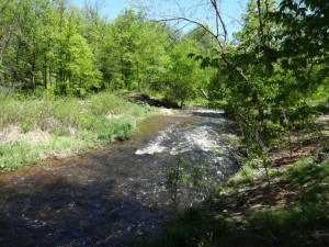 Minnehaha Creek Minneapolis Minnesota