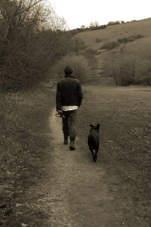 Longing for Home