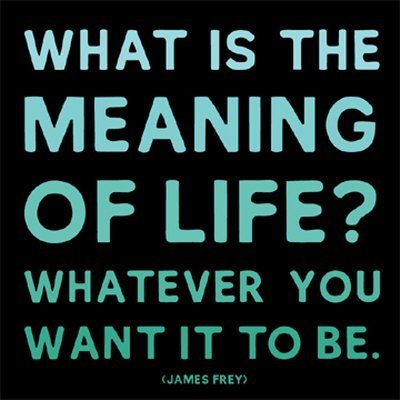 MD167~The-Meaning-Of-Life-James-Frey-Posters