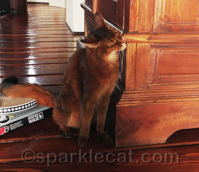 I have it on good word that this armoire is smarter than my human