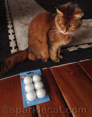 I think I saw these sitting on the dining table... for like three months.