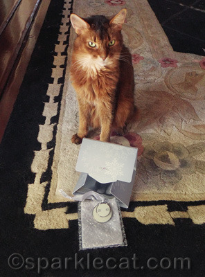 Confession: my human was a little bummed to give this up!