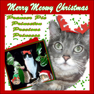 Prancer Pie