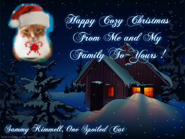 One Spoiled Cat