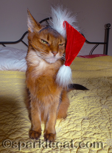 Yes, I will address this hat in my post.
