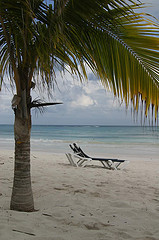 Relaxing on the beach
