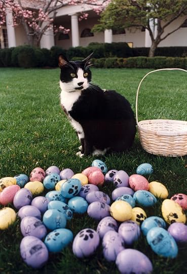 cat's Easter greetings from a dog lover