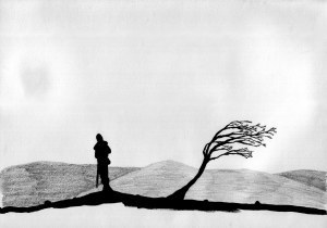 traveller