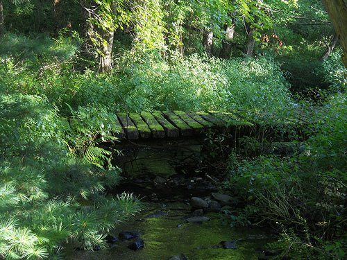 green bridge