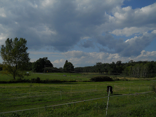 open country