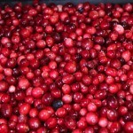 cranberry1