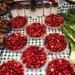 cranberry2