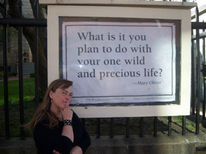 Mary Oliver quote