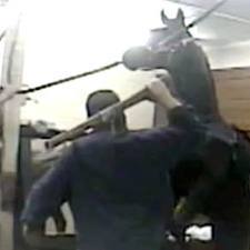 tennessee-horse-investigation
