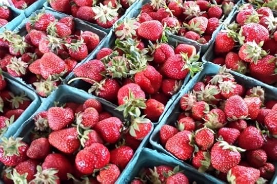 photo, image, strawberries