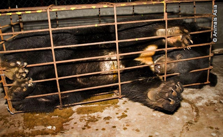 Click to visit the original post