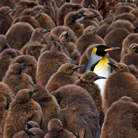 Alone in a Crowd by Dennis Minty (minty)) on 500px.com