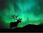 Alaska, fiction, homestead, family histories,best sellers