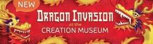 Dragon C