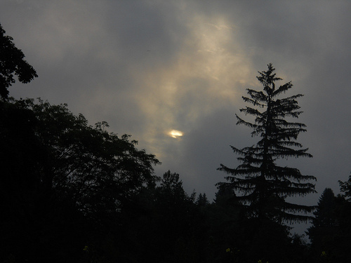 baleful sun