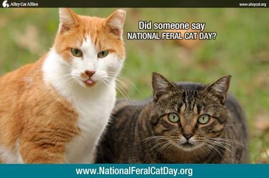 Click to visit the original post