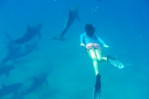 Swimming with Dolphins