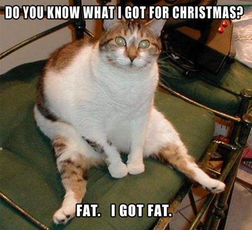 igotfat Helpful (and Odd) Things on Fiverr