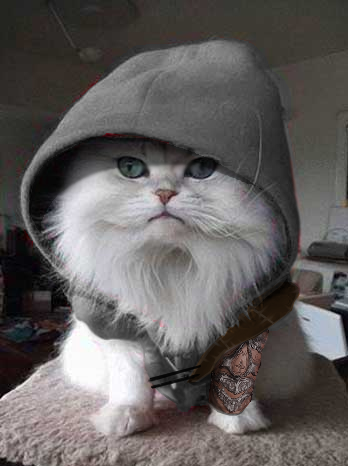 assassincat2 Query Letter Humor: My Pet Cat Wants to Kill Me