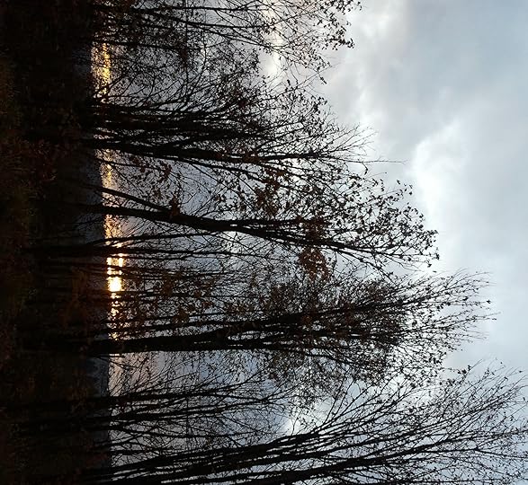 Northwoods Beauty @2012 Janalyn Voigt