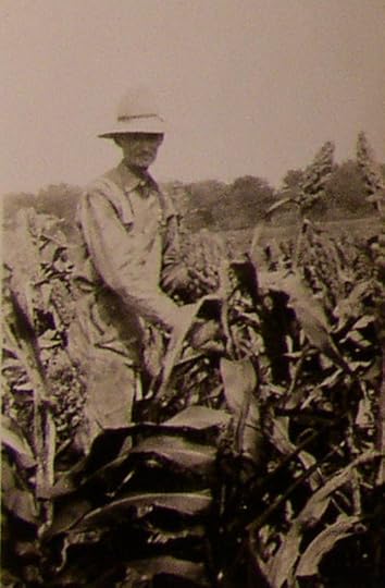 Grampa Deakins tending his field corn